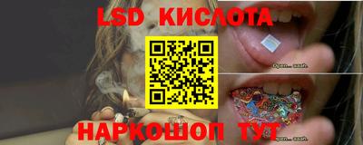 a pvp Краснознаменск