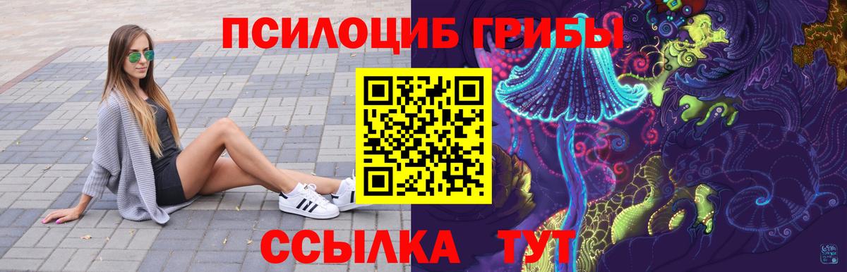 Галлюциногенные грибы MAGIC MUSHROOMS  Вход с VPN  магазин продажи наркотиков  Калининград 